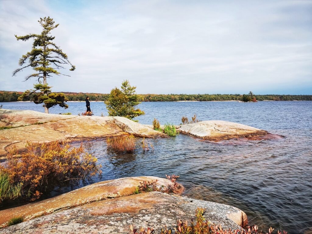 Скелясте узбережжя Killbear Provincial Park на березі Georgian Bay в Онтаріо