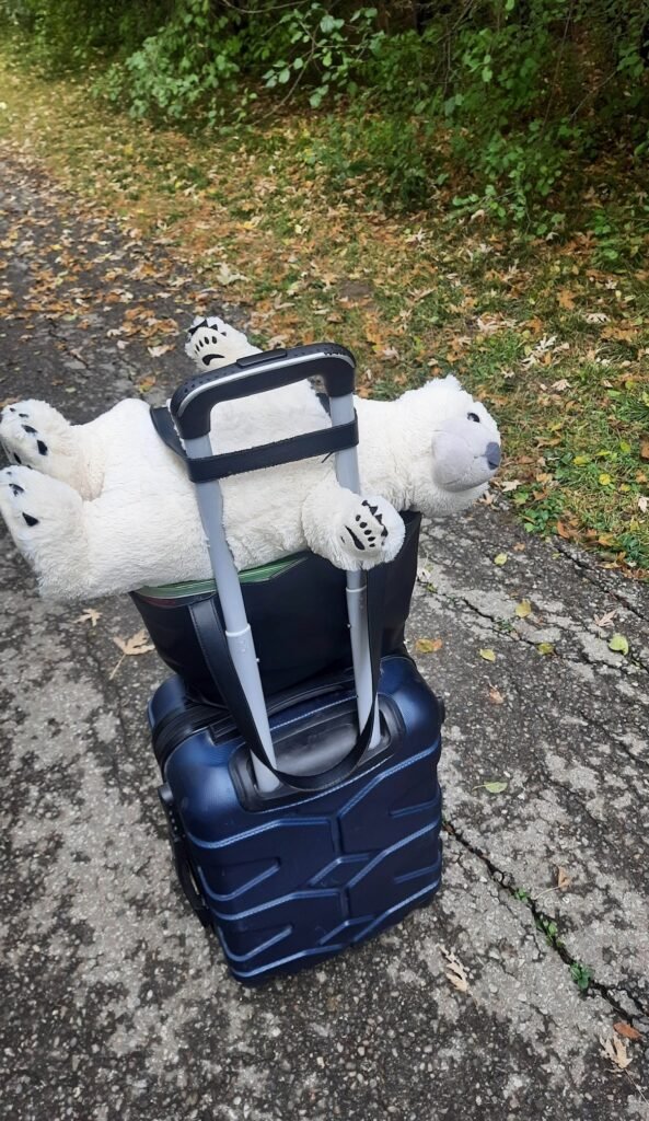 Синя дорожня валіза з сумкою та великим білим плюшевим ведмедем на асфальтованій доріжці.