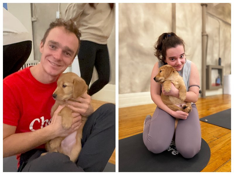 Таня Дубчак та Назар Макаренко тримають цуценят золотистого ретривера під час занять йогою