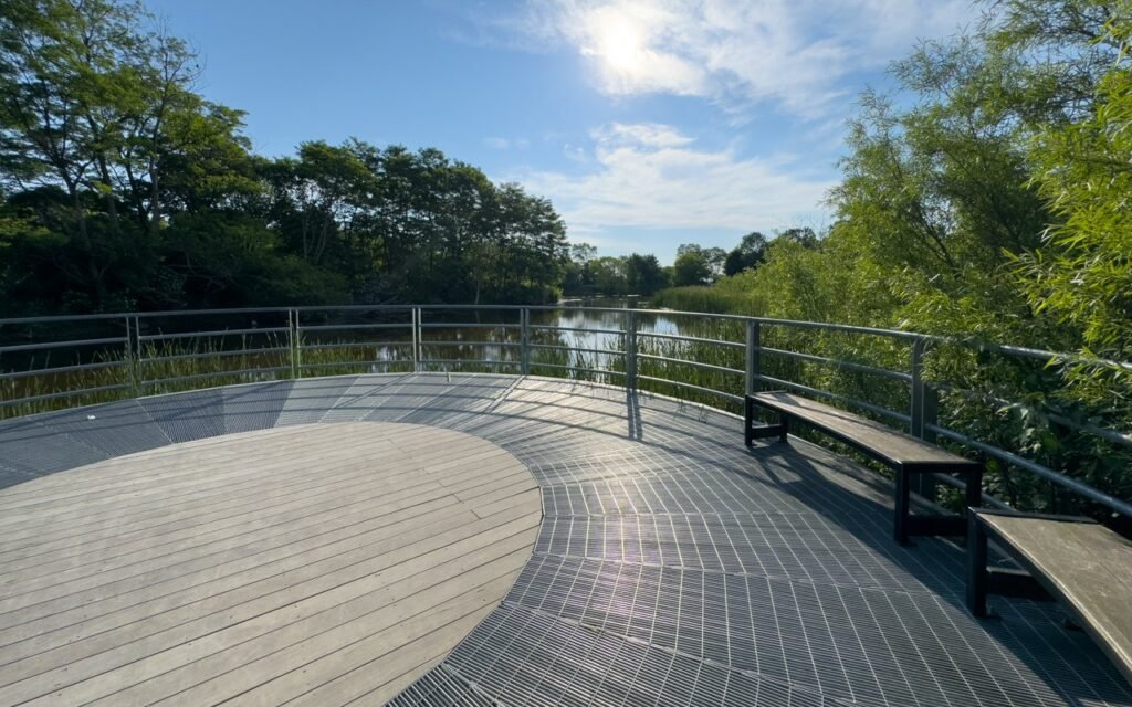 Оглядовий майданчик з лавками біля води в Colonel Samuel Smith Park, Етобіко.
