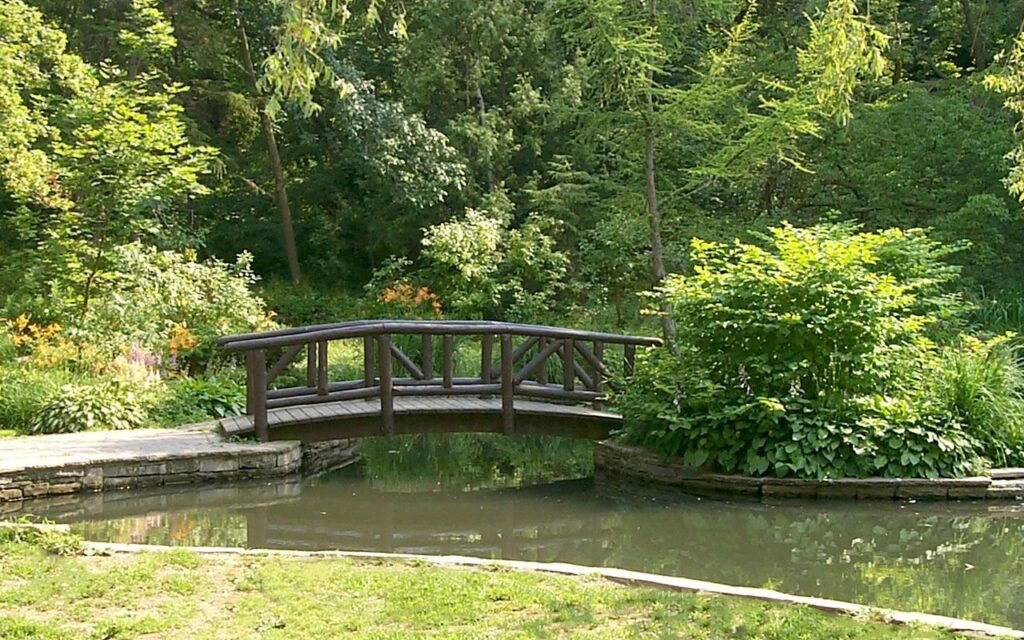 Дерев'яний декоративний місток через ставок у парку James Gardens в Етобіко, оточений густою зеленню та деревами.