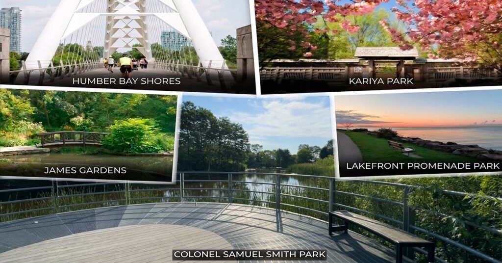 Колаж із п'яти парків: міст Humber Bay Arch Bridge, цвітіння сакури в Kariya Park, ставок у James Gardens, захід сонця в Lakefront Promenade та краєвид у Colonel Samuel Smith Park.