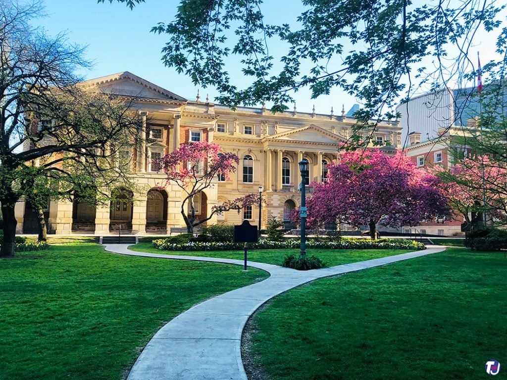 Історична будівля Osgoode Hall у Торонто з колонами, оточена зеленим газоном та квітучими рожевими деревами весною.