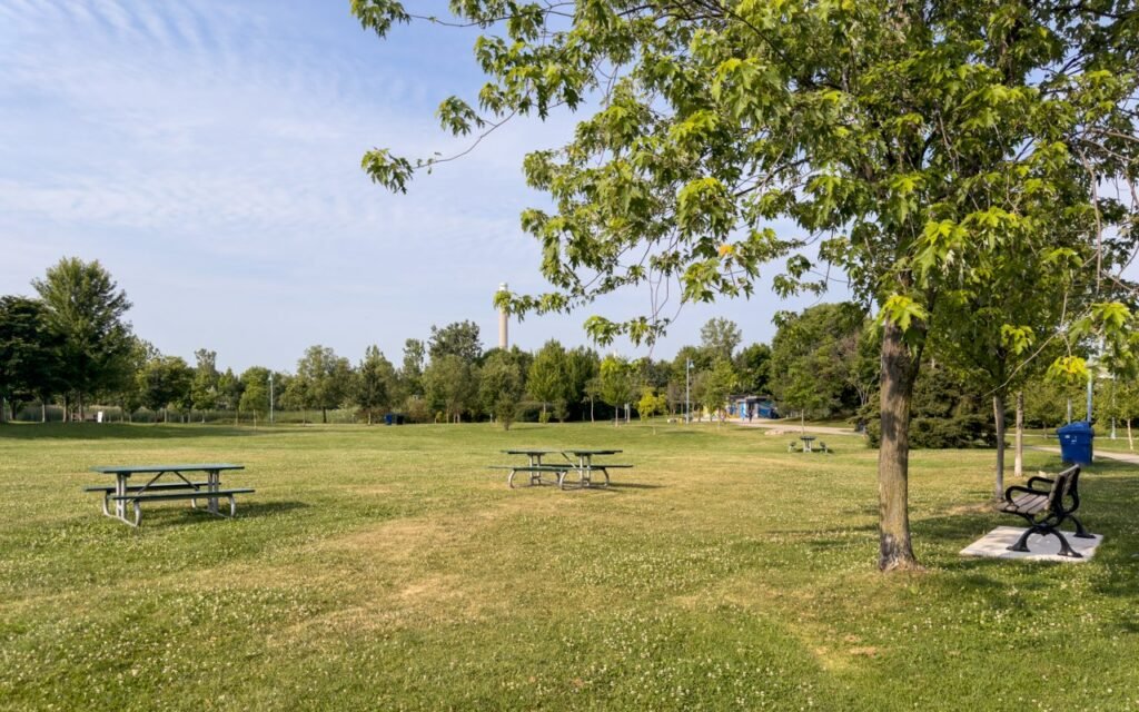 Зелена галявина у Woodbine Park із металевими столами для пікніка та лавкою під деревом.