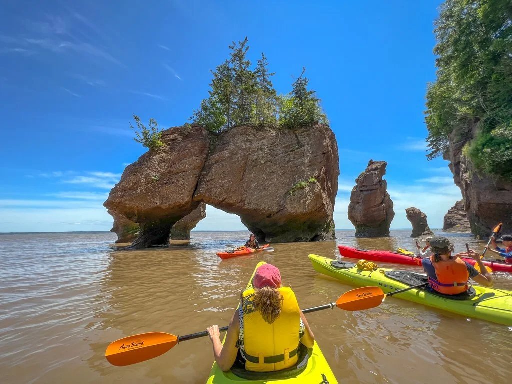Туристи на яскравих каяках пропливають біля високих скель Hopewell Rocks із деревами на вершинах у затоці Фанді.