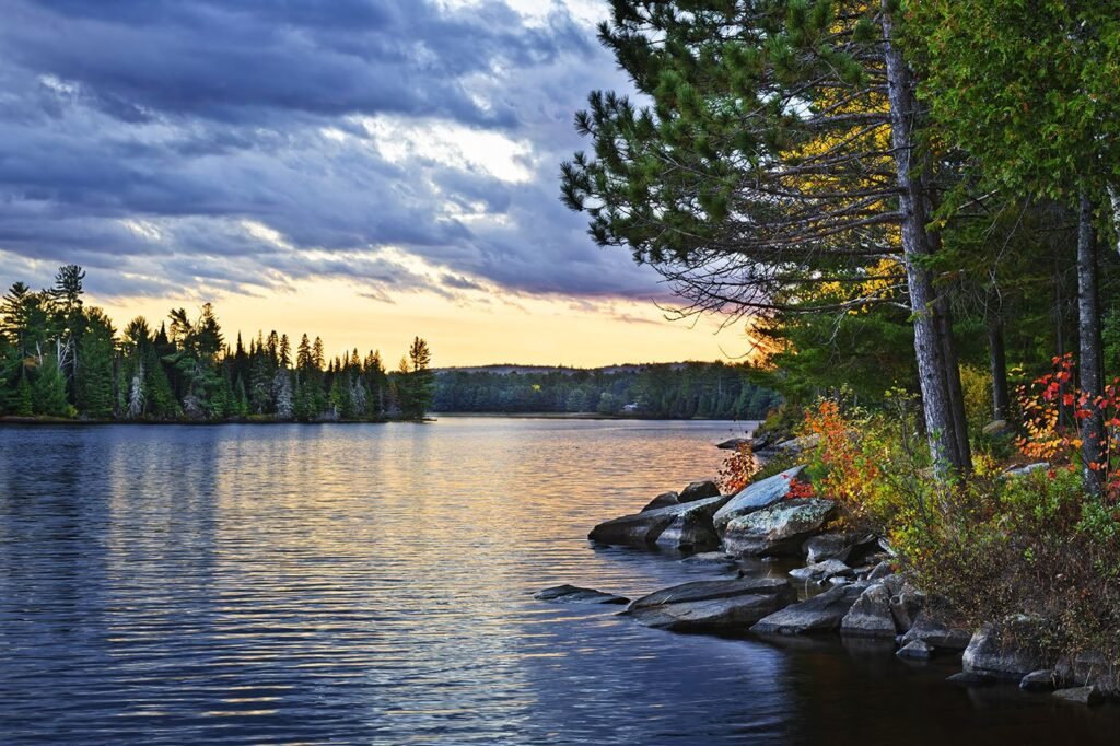 Краєвид озера в Algonquin Park на заході сонця: каменистий берег, хвойні дерева та хмарне небо з золотистим проблиском.
