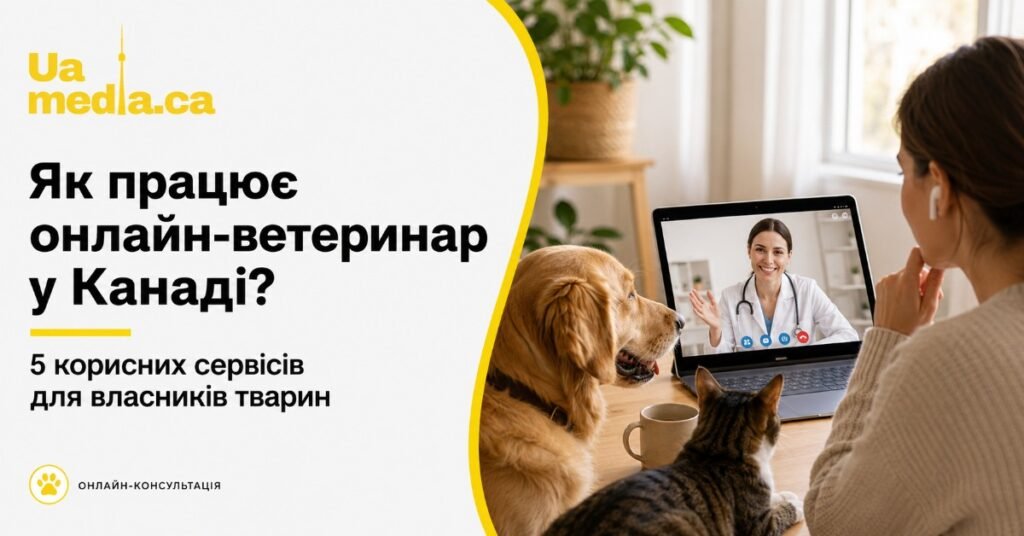 Жінка разом із золотистим ретривером та котом проводить відеоконсультацію з ветеринаром через ноутбук