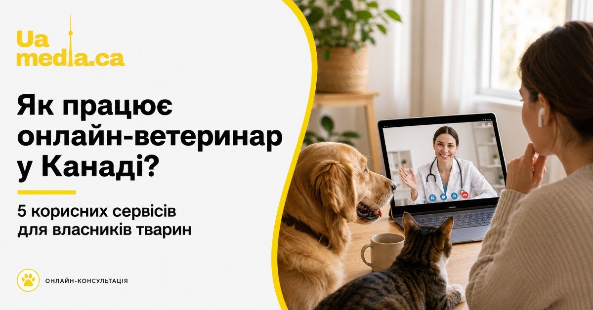Жінка разом із золотистим ретривером та котом проводить відеоконсультацію з ветеринаром через ноутбук