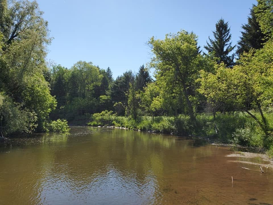 Мальовнича річка з прозорою водою, оточена густими зеленими деревами та лісом під ясним блакитним небом у Терра-Котті.