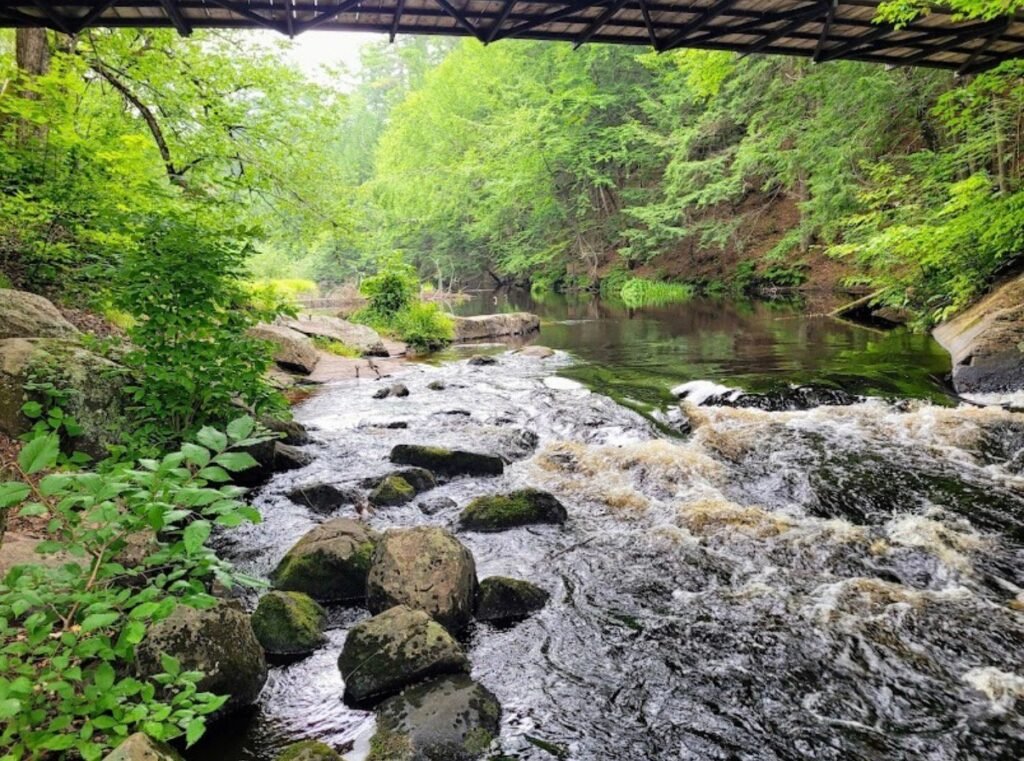 Вид з-під мосту на кам'янисті пороги водоспаду Stubb's Falls на річці, оточеній густим зеленим лісом у парку Ерроугед.