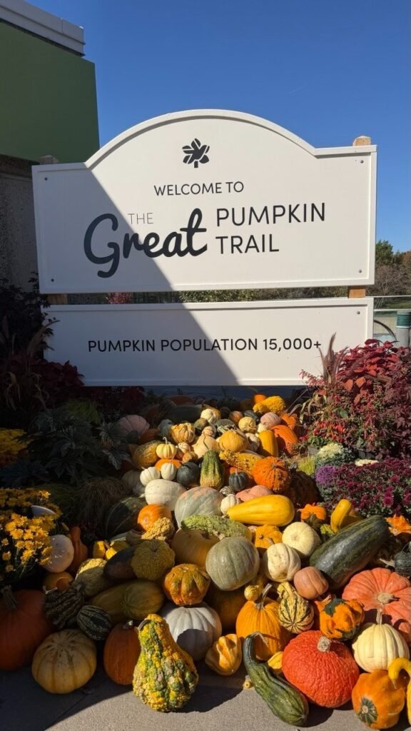 Білий вітальний стенд із написом The Great Pumpkin Trail та Pumpkin Population 15,000+ на фоні великої купи різнокольорових декоративних гарбузів.